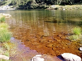 02 Sciroppo di Lago Becco